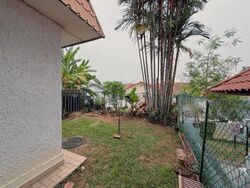 Shamrock Park (D10), Terrace #637372761